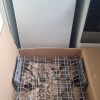 customer-review-image
