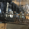 customer-review-image