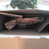 customer-review-image
